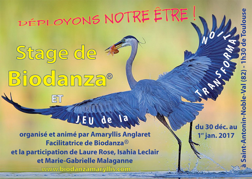 Stage_Bio_transf.indd