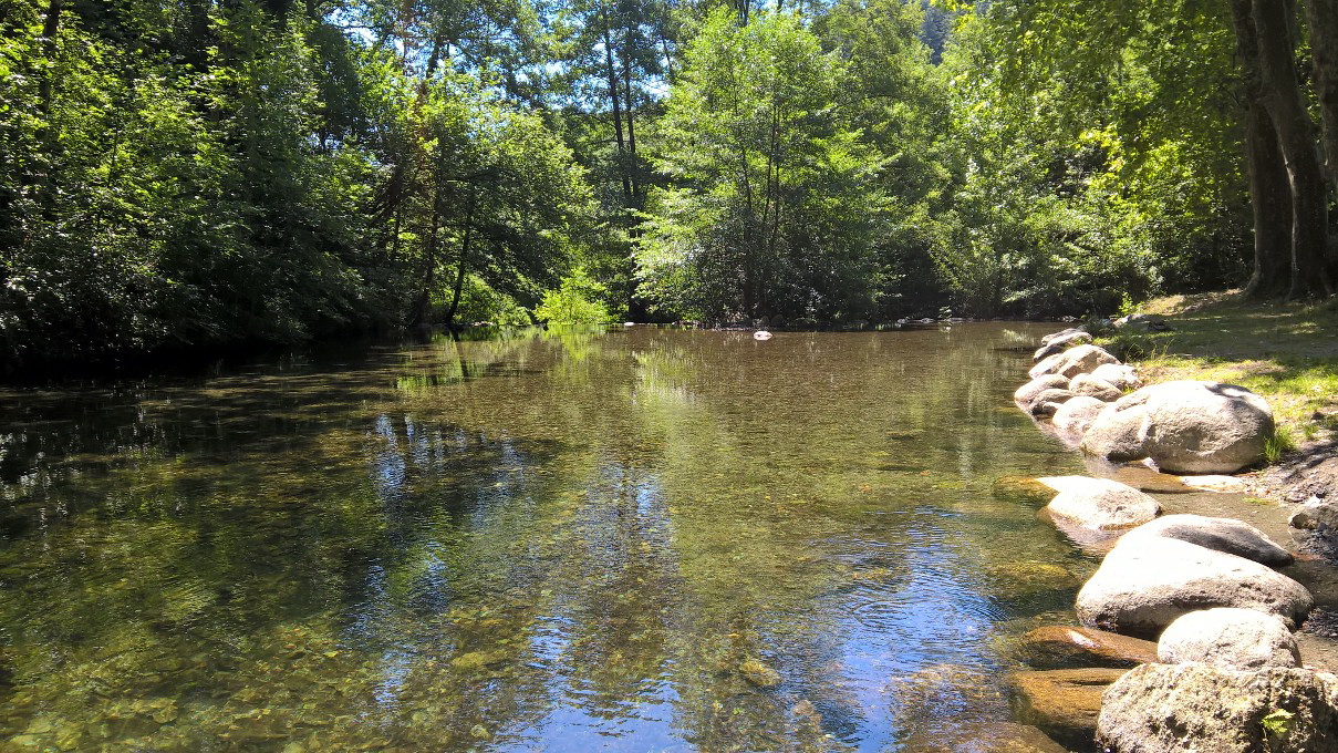 Rivière ensoleillée
